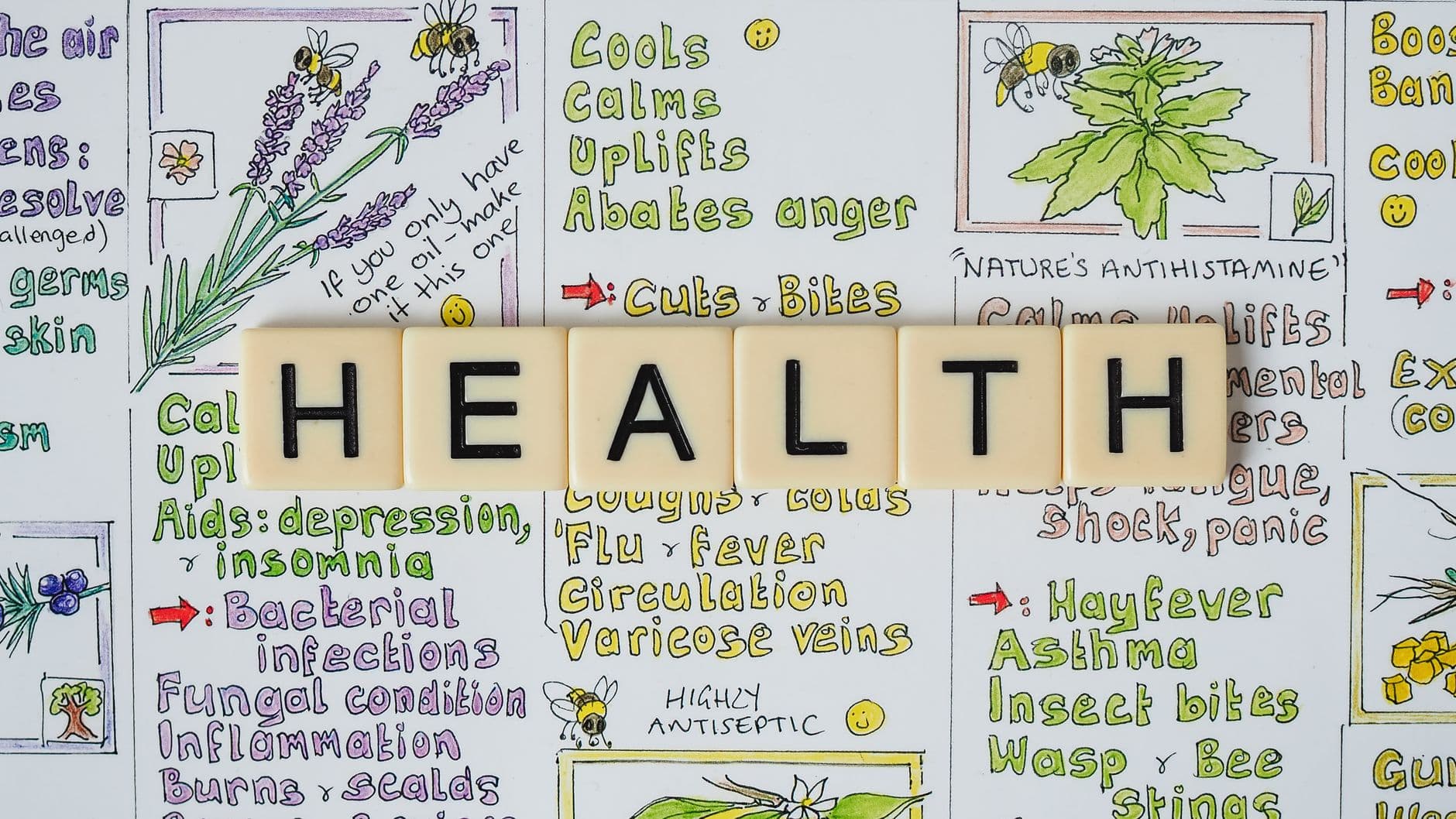 Harnessing Nature to Boost Immune Resilience in the Pacific NW