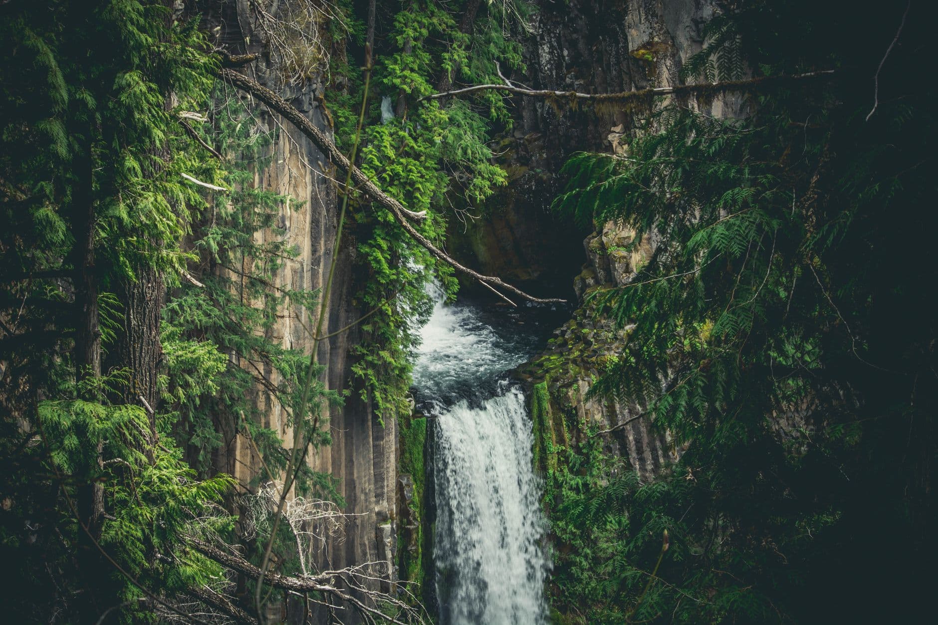 Boosting Gut Health Naturally: Navigating the Pacific Northwest