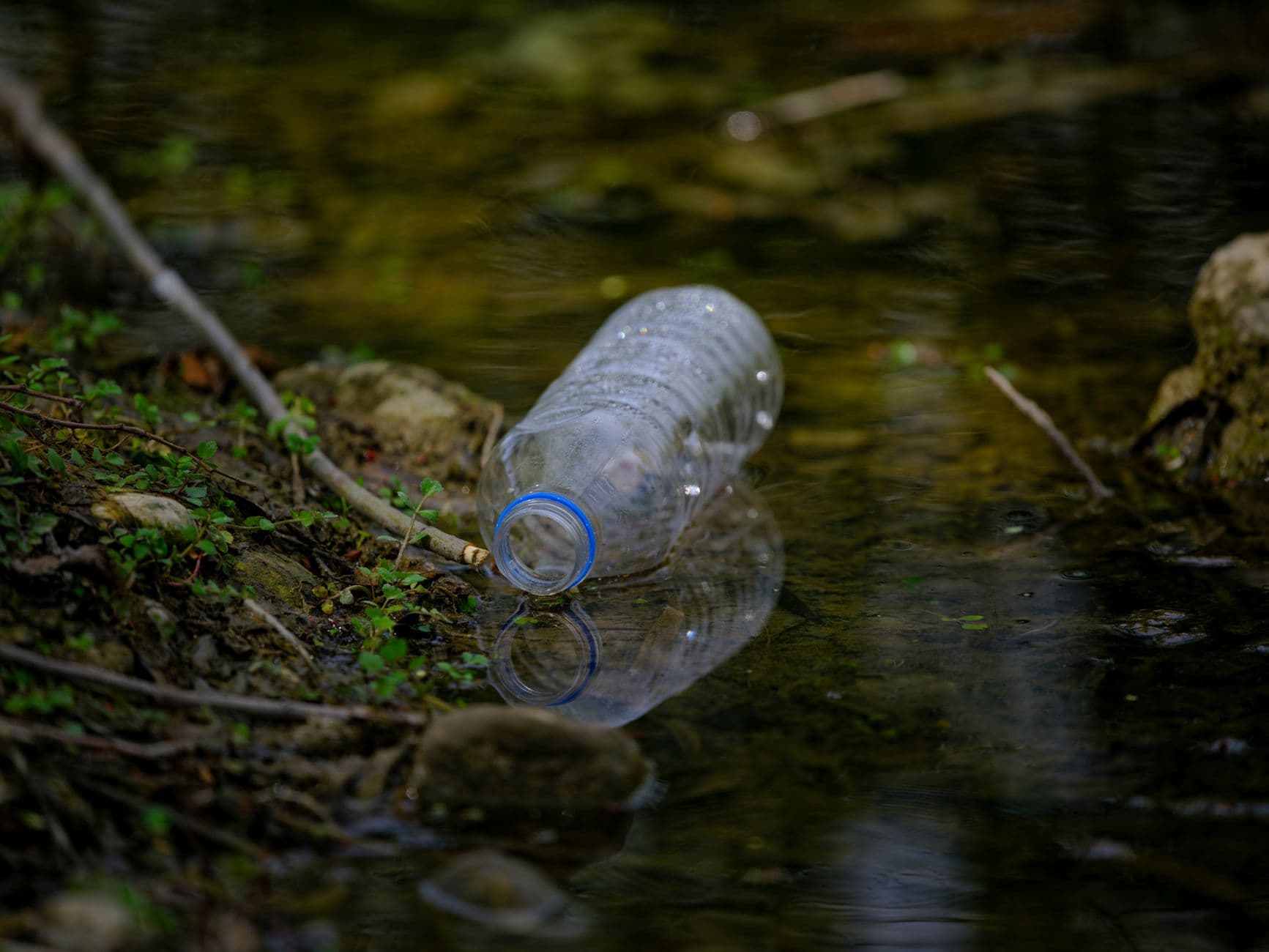 Decoding Water Quality Reports: What Every PNW Family Should Know
