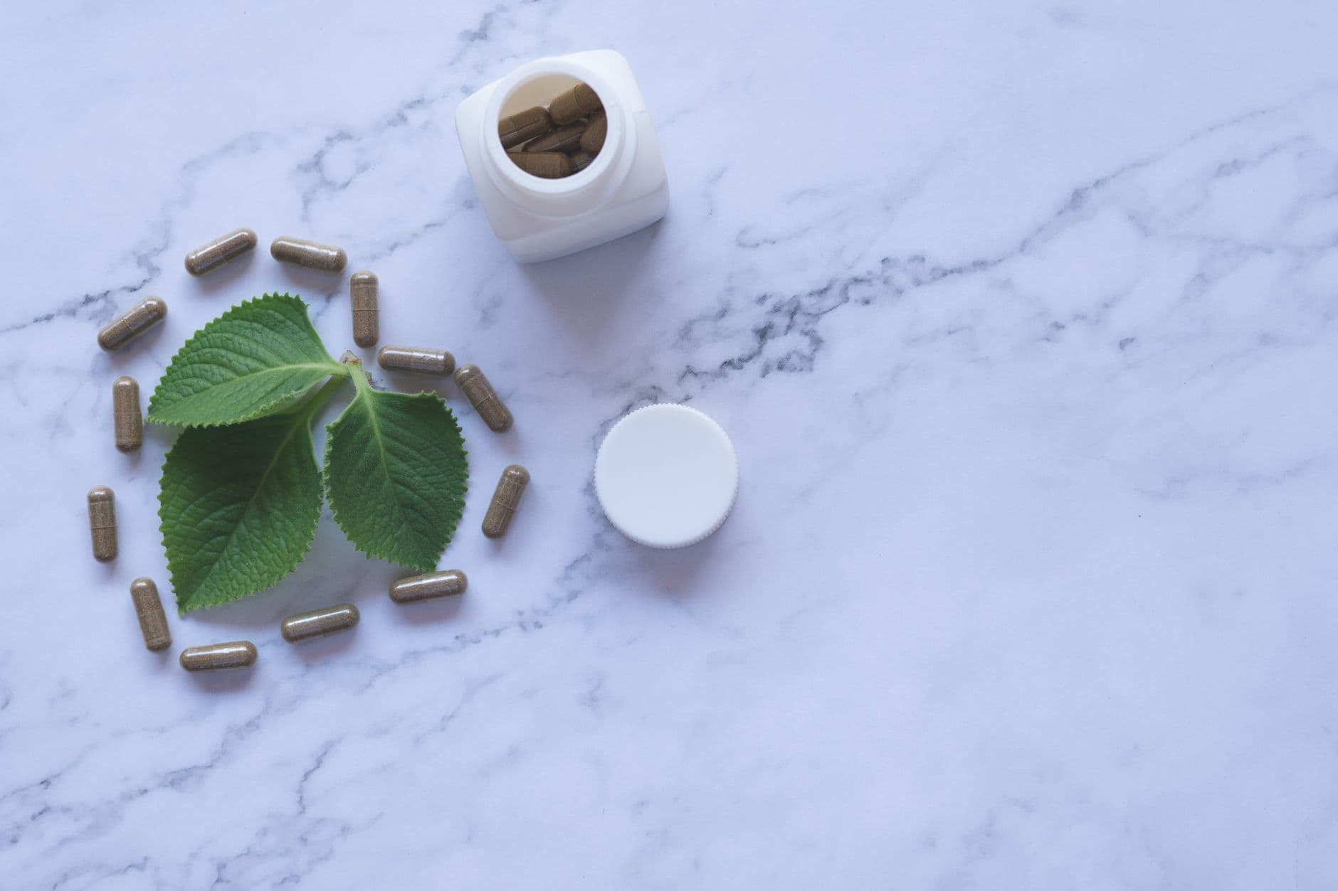 Mastering PNW Burnout: Natural Ways to Recharge and Thrive